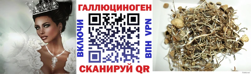 Галлюциногенные грибы Psilocybine cubensis  маркетплейс какой сайт  Ипатово 
